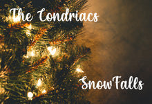 Load image into Gallery viewer, Snowfalls - Download