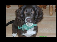 Load and play video in Gallery viewer, Bespoke Songwriting Service